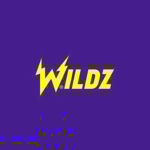 wildz-casino-logo-desktop